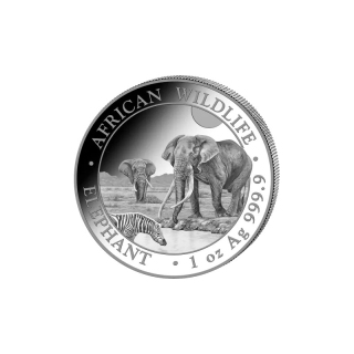 Silver African Wildlife Elephant 2026 1 oz