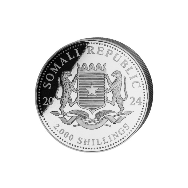 1kg Silver Somálsky slon 2024